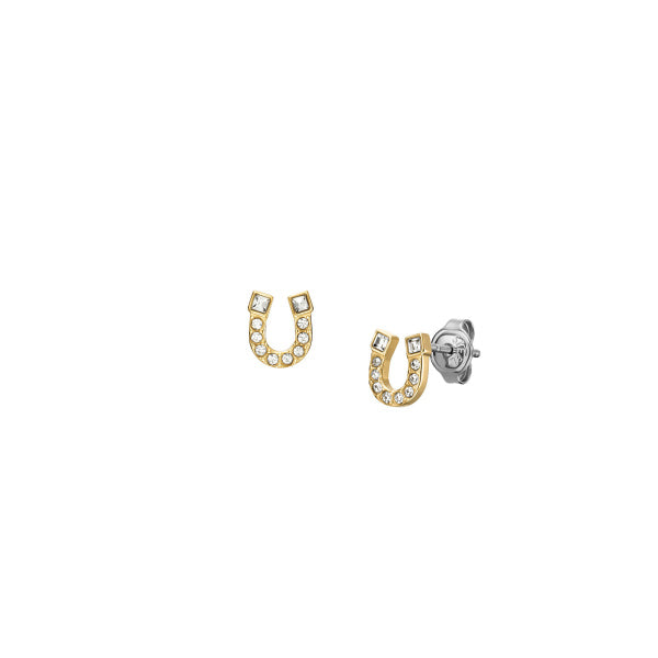 FOSSIL Horseshoe eyrnalokkar