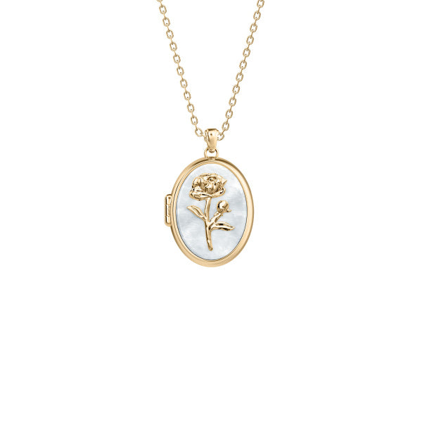 FOSSIL Sutton The Locket Collection hálsmen JF04976