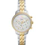 FOSSIL Neutra 36mm ES5216