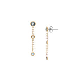 SKAGEN Drop gold-plated earrings SKJ1892
