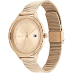TOMMY HILFIGER 38mm.